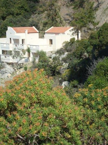 Ravdoucha Beach Studios Ravdhoukha Exterior photo